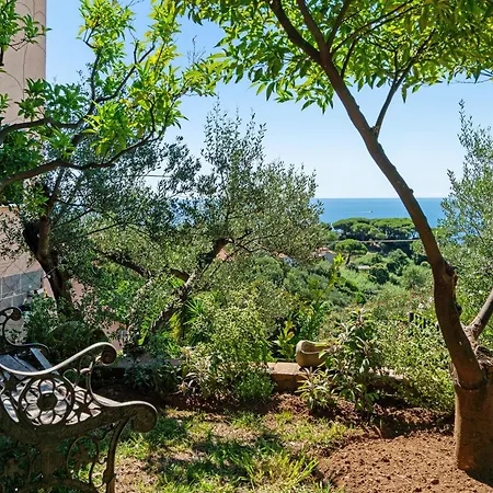 Lemon צ'לה ליגורה