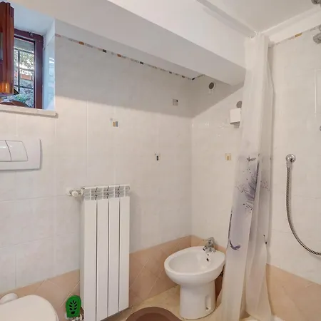 Lemon * 塞勒里古